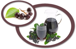 aronia juice concentrate