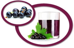 blackcurrant juice concentrate