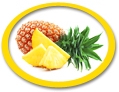 concentrated pineapple juice suppliers usa
